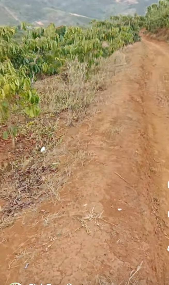 Đất nền Thôn 4 Di Linh 1800m² giá 1.25 tỷ - Sổ đỏ chính chủ