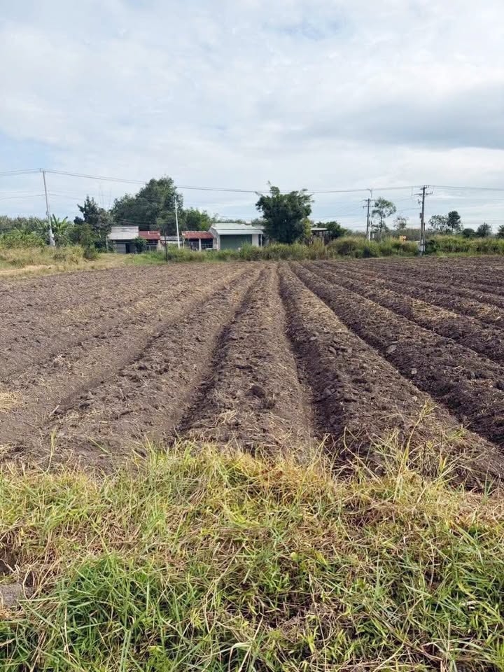 Đất Nền Châu Thành Tây Ninh 640.5m² - Sổ Đỏ Chính Chủ, Giá 240 Triệu