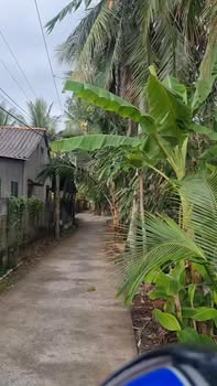 Đất Thổ Cư Phú Quý, Cai Lậy 60m² - Giá 420 Triệu, View Kênh Mát Mẻ