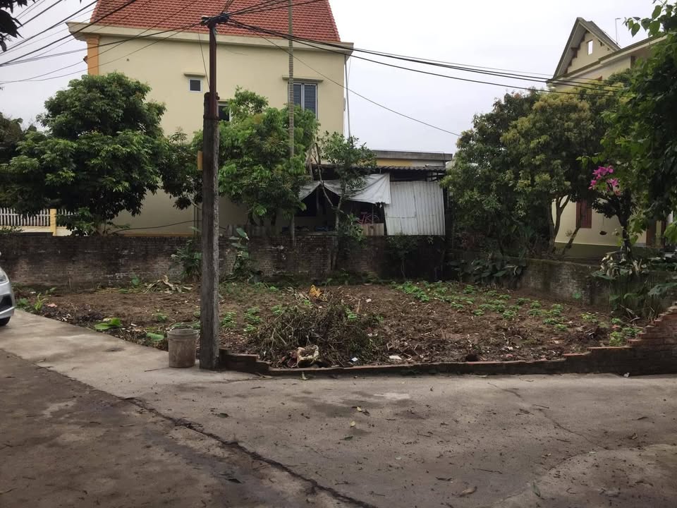 Đất Thổ Cư 110m² Cẩm Chế, Thanh Hà - Giá 1 Tỷ, Kinh Doanh Thuận Lợi