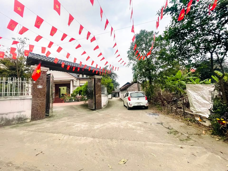 Đất nền Tam Dương 117m² giá 7xx triệu - Tiềm năng tăng giá cao