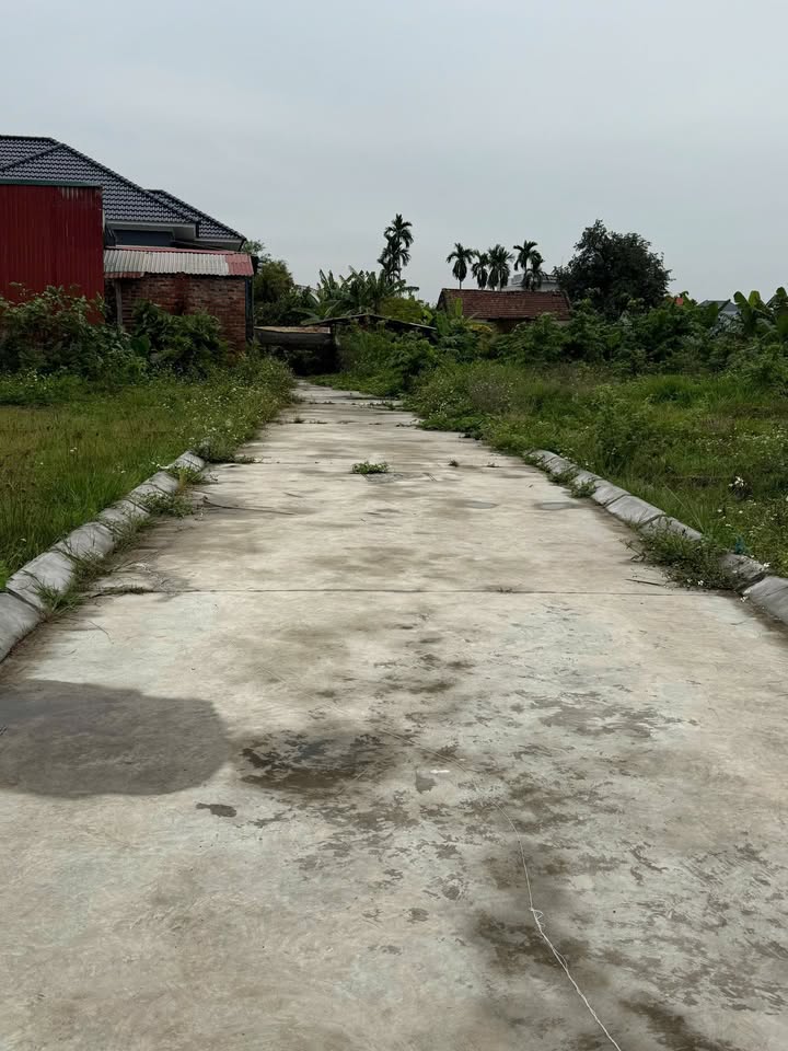 Đất nền Áng Sơn, Hải Phòng - 60m² giá tốt, tiềm năng sinh lời cao