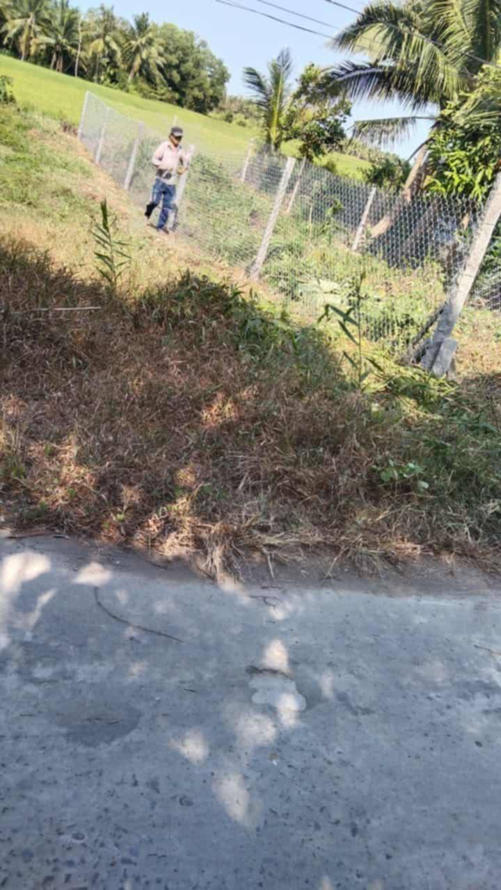 Bán đất 126m² Phước Hảo, Châu Thành, Trà Vinh - Giá 2.6 Tỷ Chính Chủ