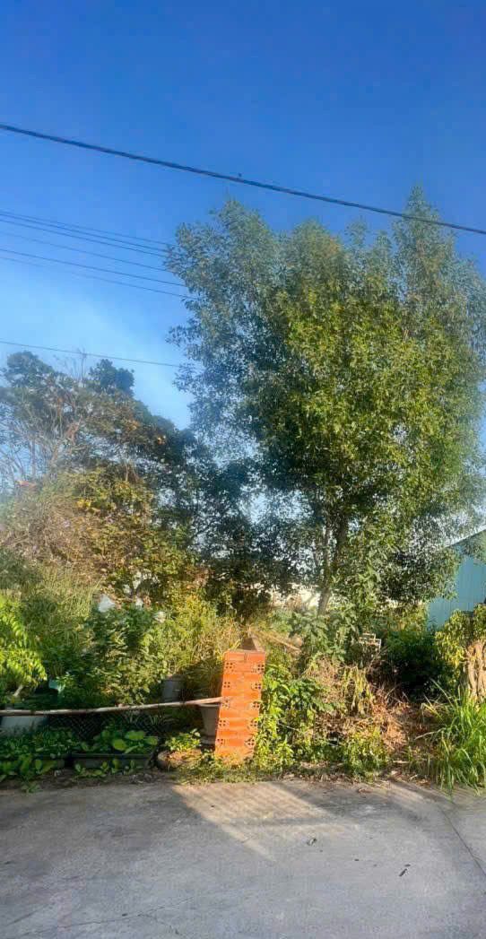 Đất nền Trảng Dài Biên Hòa 357m² giá 1.x tỷ - Sổ hồng riêng sẵn sàng