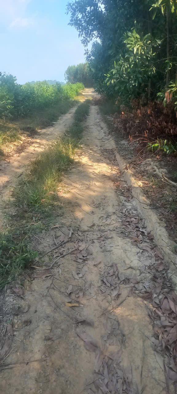 Đất Vườn 3.5 Mẫu Phú Ngọc Định Quán - Sinh thái xanh, tiềm năng lớn!