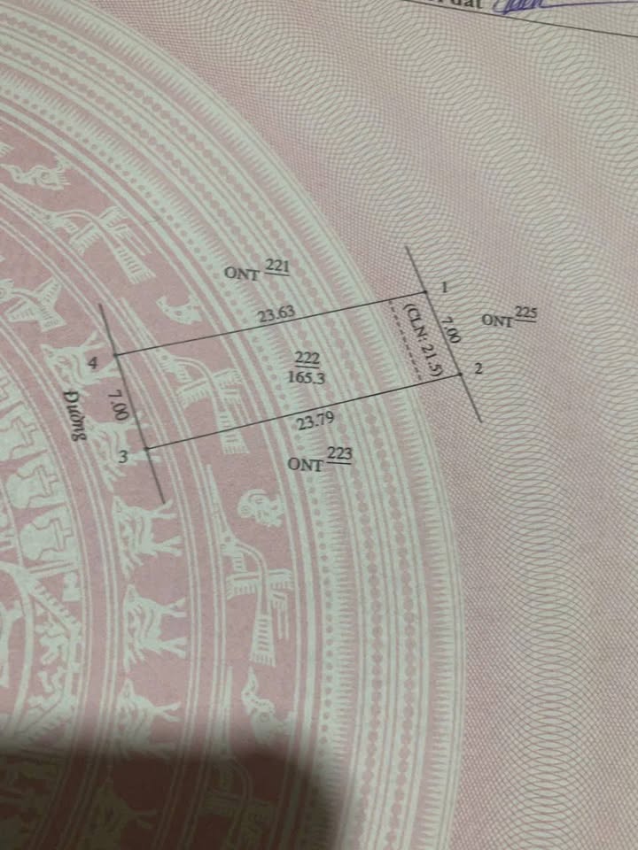 Đất nền Nghi Kiều Nghi Lộc 165m² giá 700 triệu - Sổ đỏ chính chủ