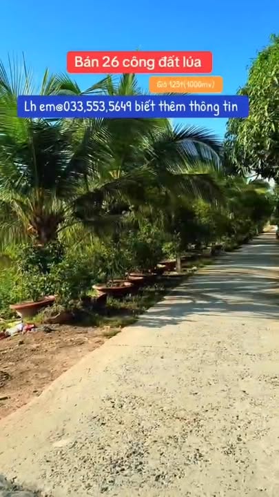 Đất Vườn Tân Hưng, Long An 2.6ha giá 125 tỷ – Đầu tư dài hạn