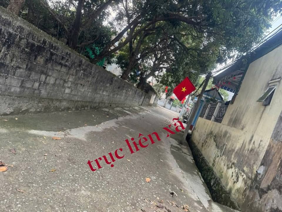 Bán Đất 200m² Gia Thủy Nho Quan - View Đồng Mát, 2 Mặt Tiền, Giá Tốt