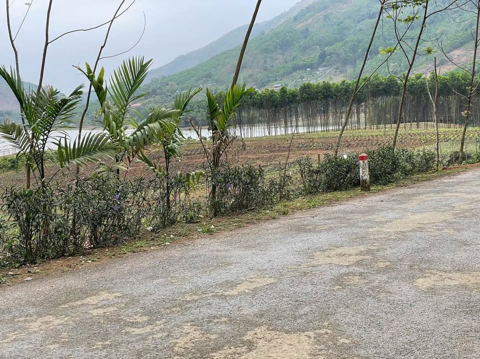 Đất Minh Hoàng Hưng Yên 1600m² - Đất thổ cư 100% sổ đỏ chính chủ!