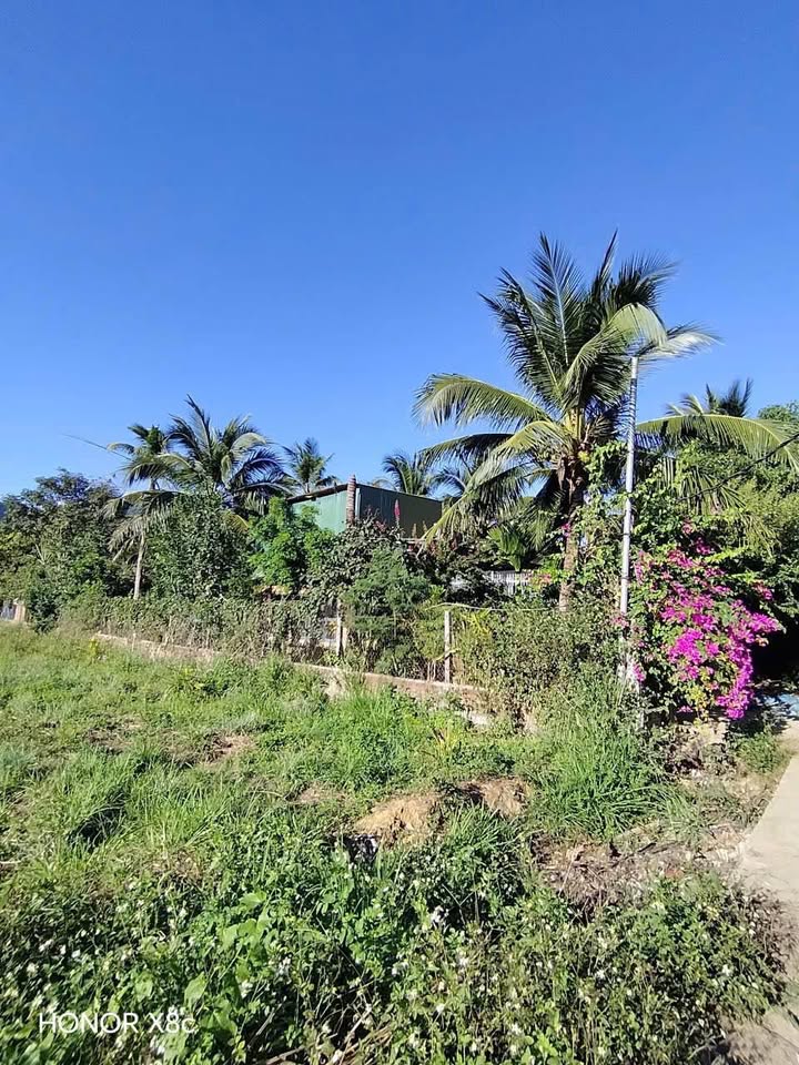 Bán Đất Vườn Đắc Lộc, Nha Trang 576.6m² - Sổ Hồng Riêng, Giá Đầu Tư