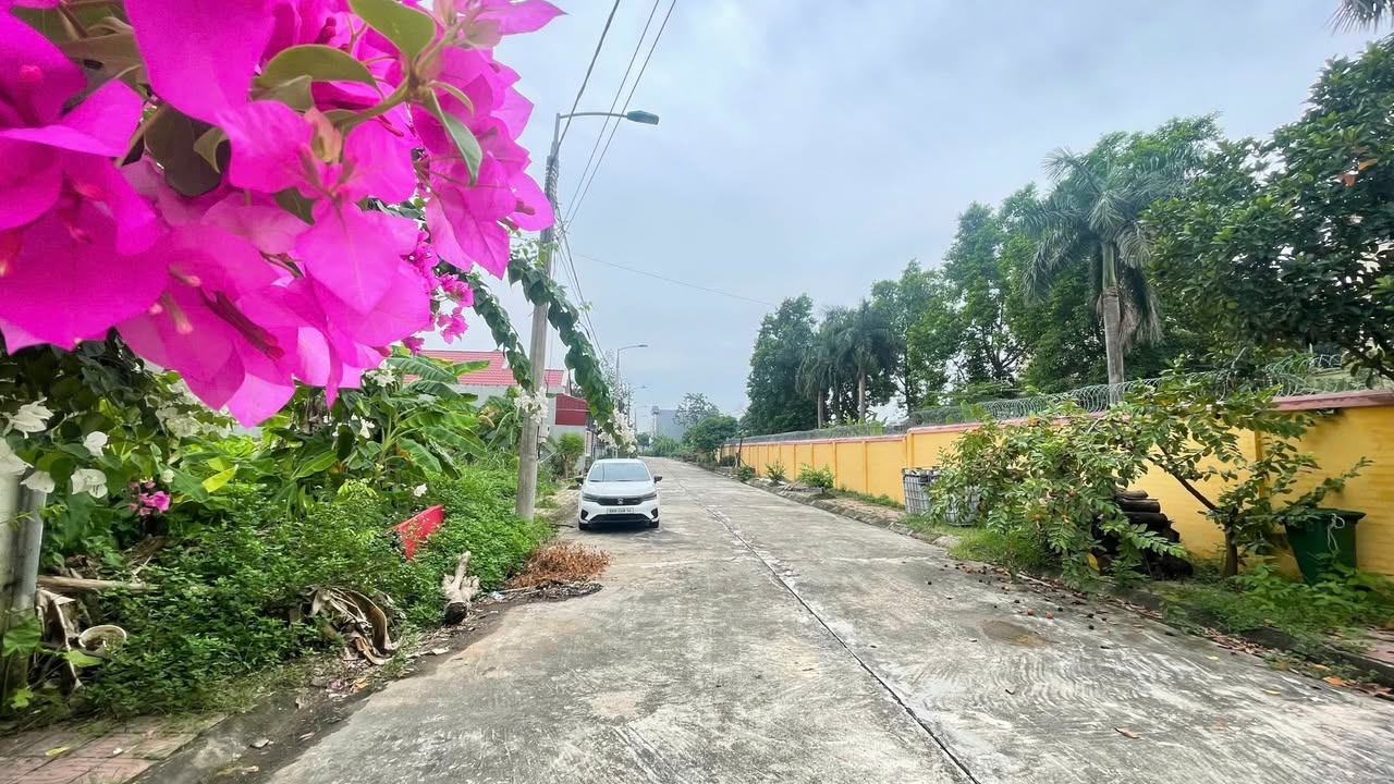 Đất Lô Góc Đồng Mận - Kim Thượng 120m² - Sổ Hồng Sẵn Sàng - Giá Tốt