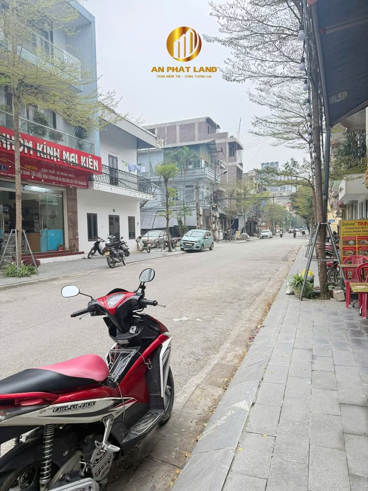 Nhà phố Hoàng Hoa Thám Ninh Bình 97.3m² - Mặt tiền kinh doanh đỉnh cao!