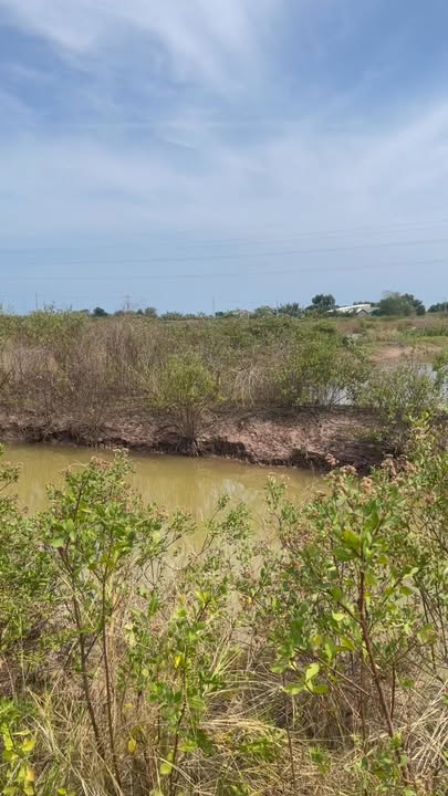 Bán Đất Nuôi Tôm Vĩnh Hậu A Bạc Liêu 4ha - Vị Trí Đắc Địa Giá Tốt