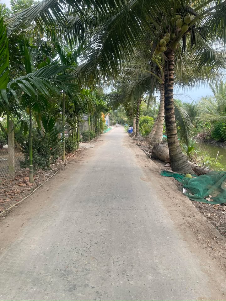 Bán Nền Đất 125m² Phường 1, TX Cai Lậy - Sổ Đỏ, Giá 420 Triệu