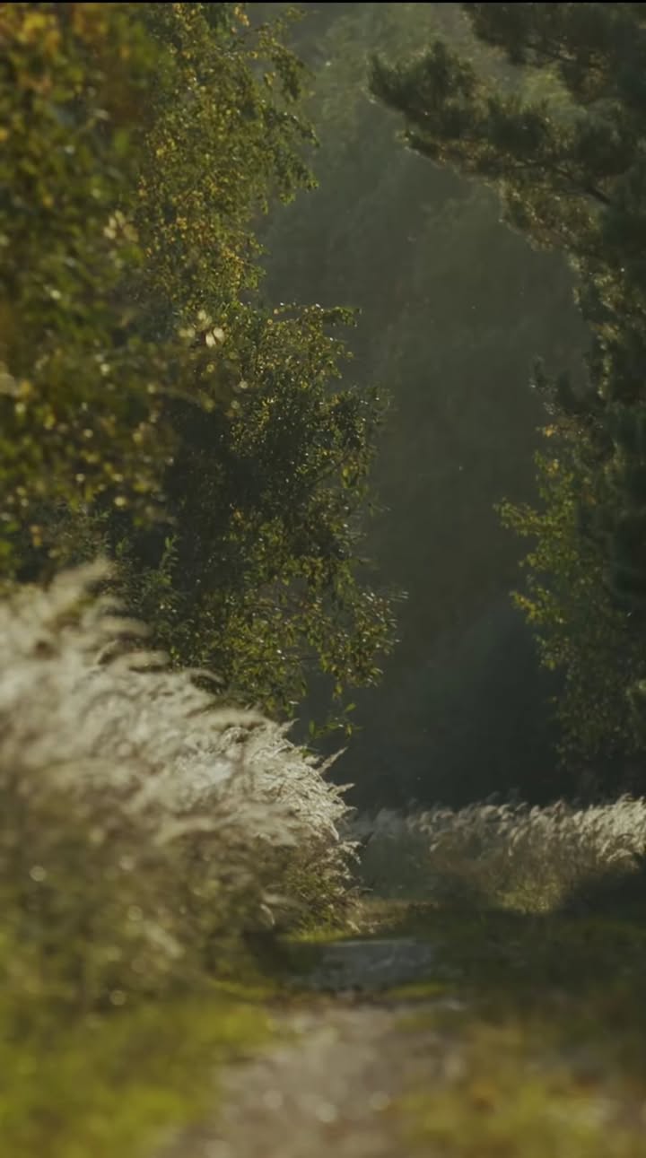 Nhà Sổ Chung 100m² Chánh Nghĩa, Thủ Dầu Một - Giá 850 Triệu Bán Gấp