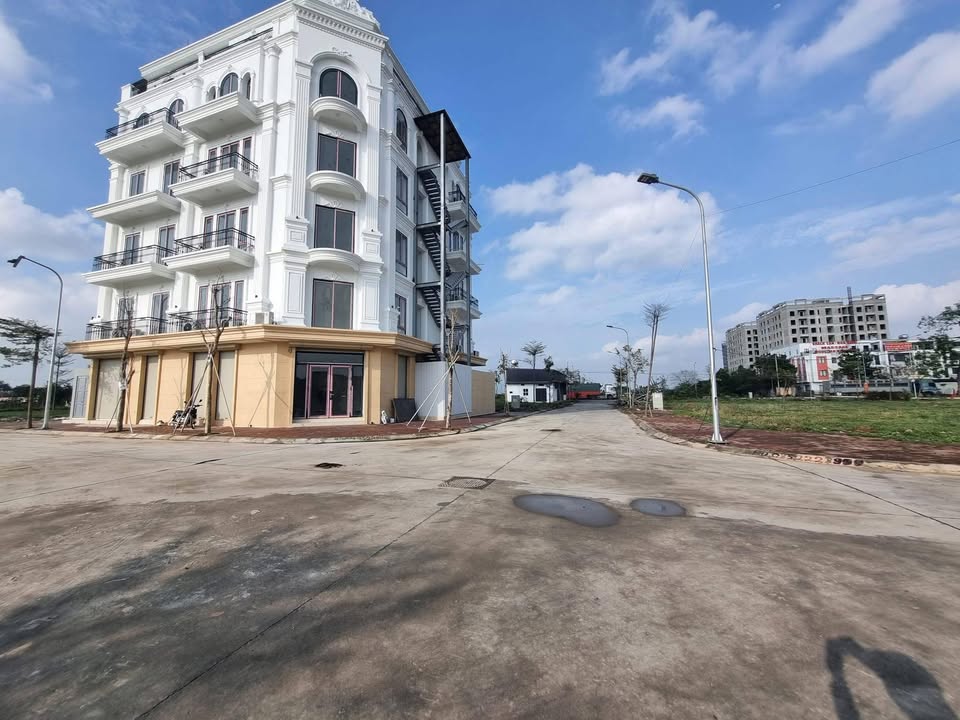 Đất nền đấu giá Bạch Đa 98m² - Kim Hoa, Mê Linh - Đường to ô tô!