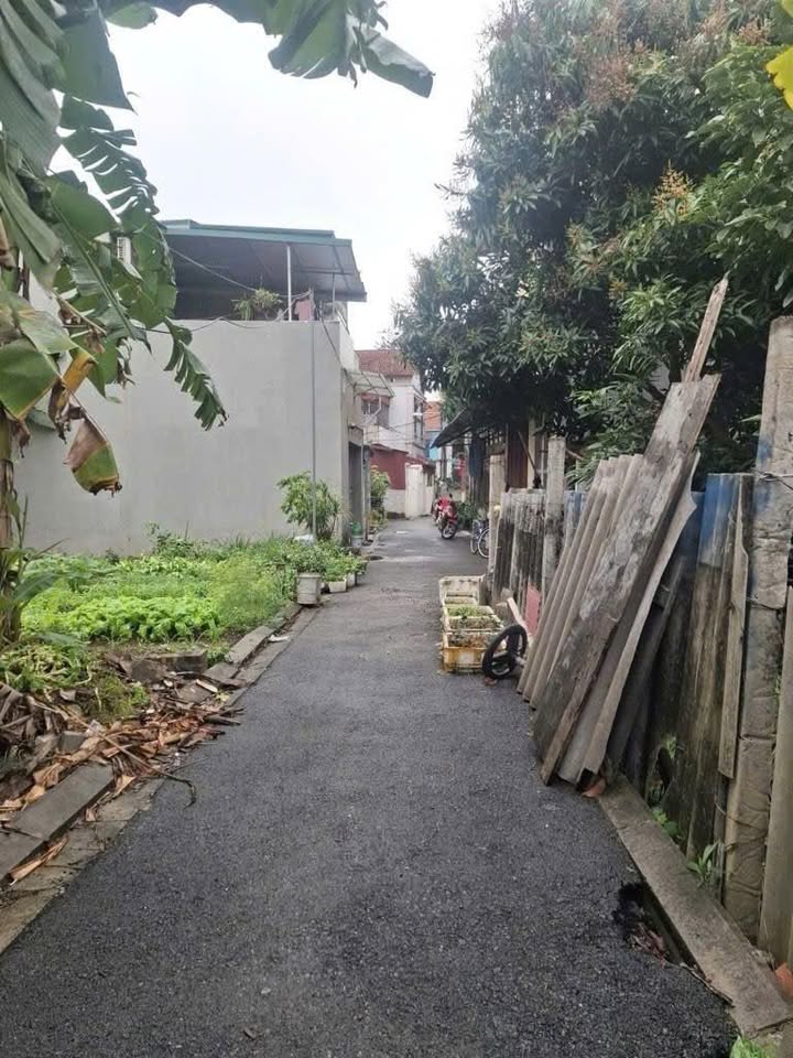 Đất Nền Sổ Đỏ Gia Lâm - 78m² Giá Hơn 4 Tỷ - Cơ Hội Đầu Tư Vàng