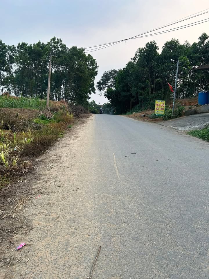 Bán Đất Phù Ninh 200m² - Mặt Tiền 8m, Sổ Đỏ, Giá 1.1 Tỷ