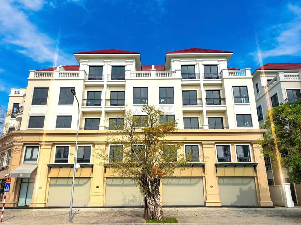 Shophouse Ocean Park 2 Gia Lâm 120m² 26.67 tỷ - KD mặt tiền