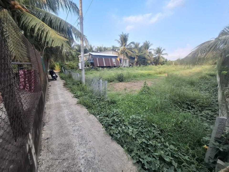 Đất nền Xã Tân Hội 90m² - Pháp lý rõ ràng, hạ tầng hoàn thiện!