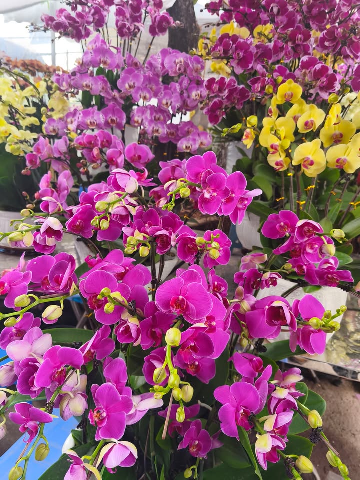 Văn phòng KĐT Văn Khê Hà Đông 83m² 9 triệu - Vị trí trung tâm