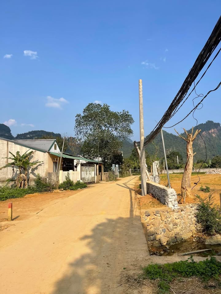 Đất nền Phong Quang, Vị Xuyên 650m² - Đường to ô tô tận nơi!