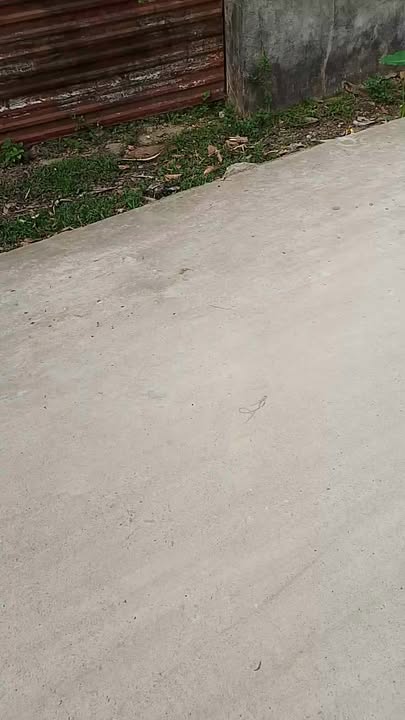 Đất Nền Thôn Chang, TP Hà Giang 536.8m² - Mặt Tiền Rộng 25m, Giá Thỏa Thuận