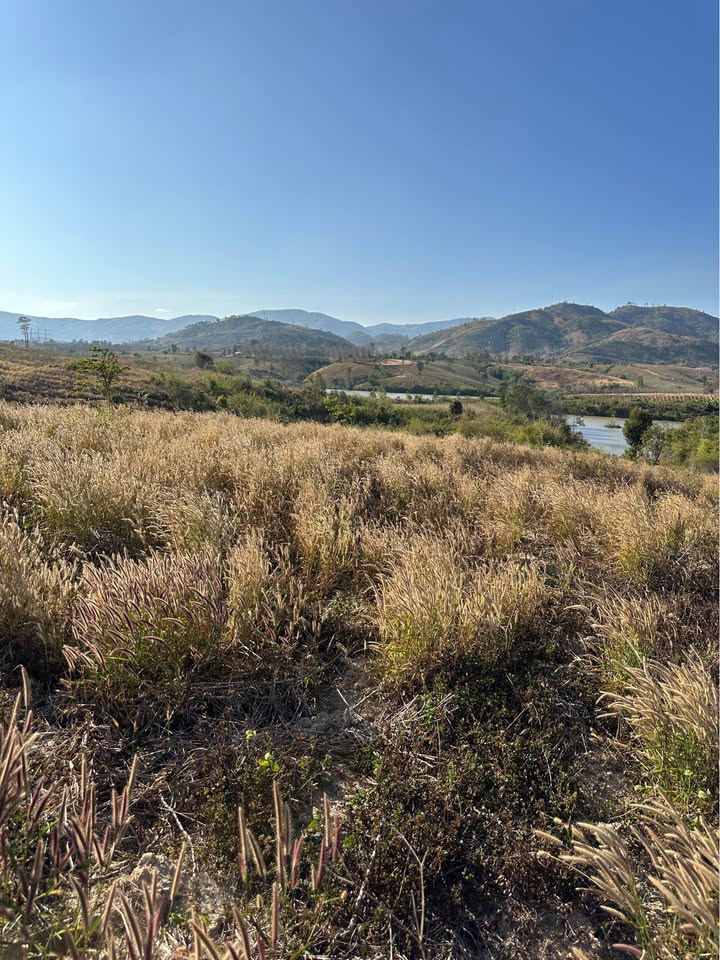 Bán Đất Vườn 2 Hecta Giáp Sông Đắk Bla, Kon Tum - Sổ Đỏ Riêng