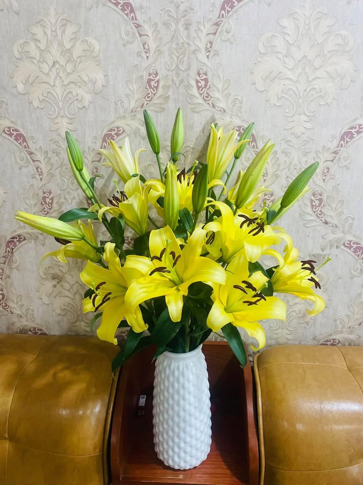 Đất nền 674m² Thôn Mậu Chử, Thanh Hà, Hà Nam - Sổ đỏ chính chủ