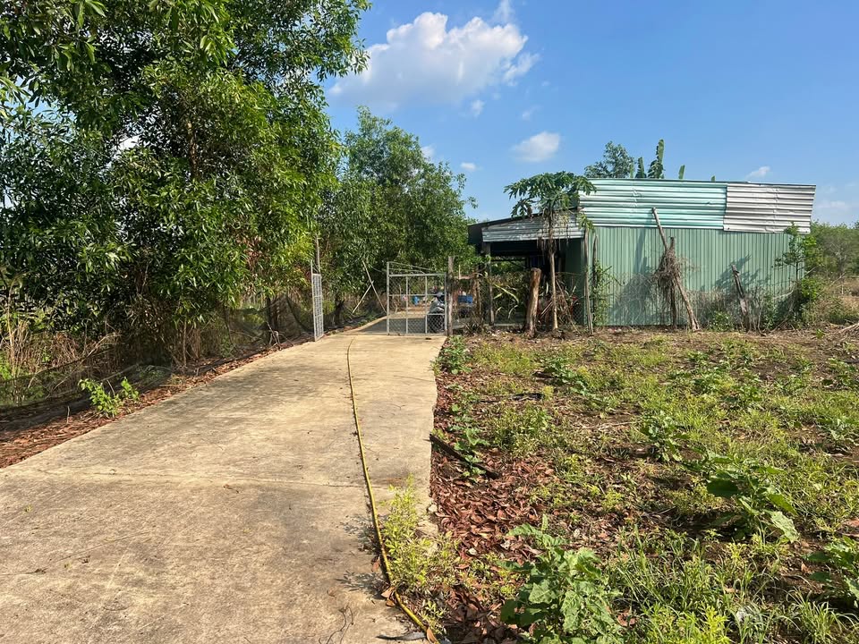 Đất vườn Bù Đốp, Bình Phước 16.000m² - Sổ hồng rõ ràng!