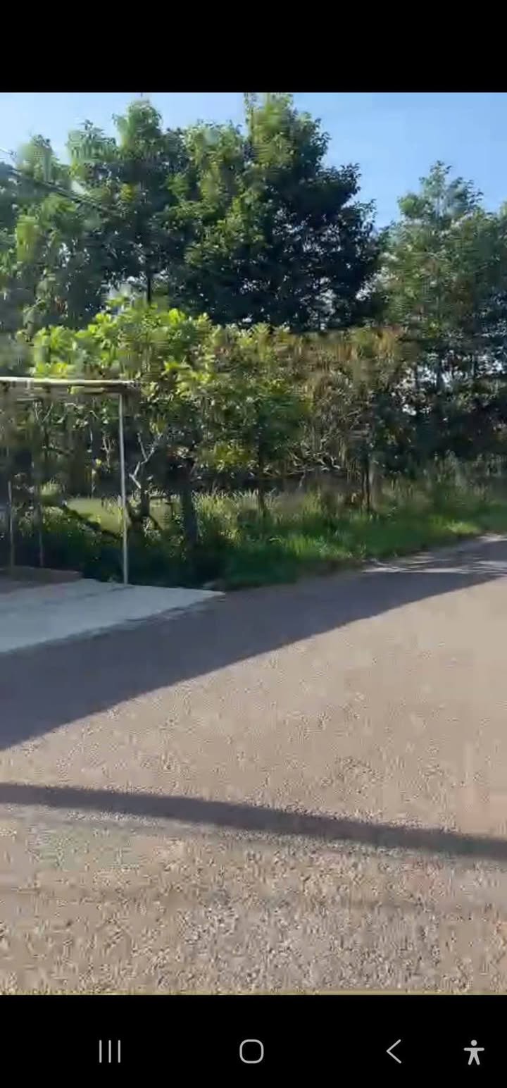 Đất nền Long Thành 648m² gần sân bay - Tiềm năng tăng giá