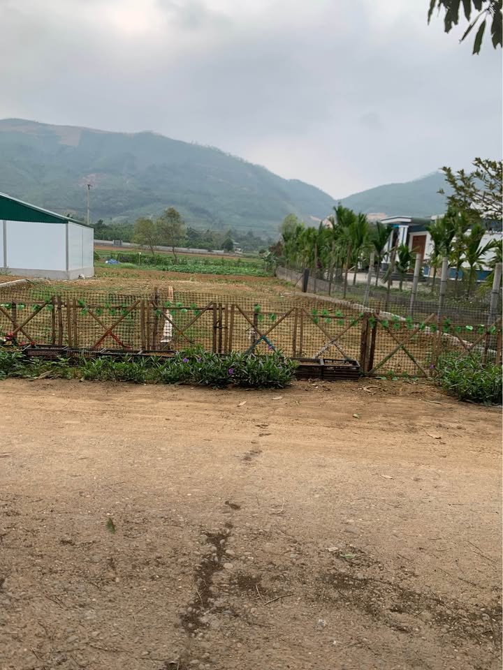 Đất nền Tu Vũ, Thanh Thủy 281m² - Tiềm năng tăng giá!