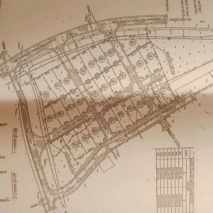 Đất đấu giá Nam Đàn 250m² - Vị trí đắc địa, giá đầu tư