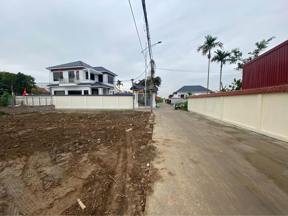 Đất Vườn Tiên Lãng 380m² - Sổ Hồng Sẵn Sàng - Giá 4 Tỷ