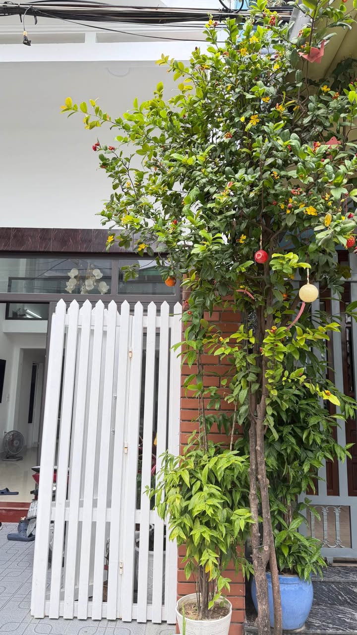 Bán Gấp 3 Lô Nhà Phố Trương Chí Cương, Hải Châu - Giá Từ 7 Tỷ