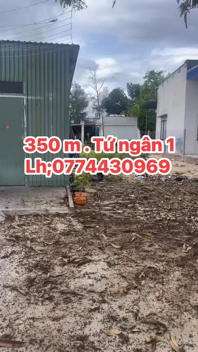 Đất Vàng Điện Ngọc 350m² - Tách 2 Lô, Xây Nhà Vườn, Đầu Tư Sinh Lời