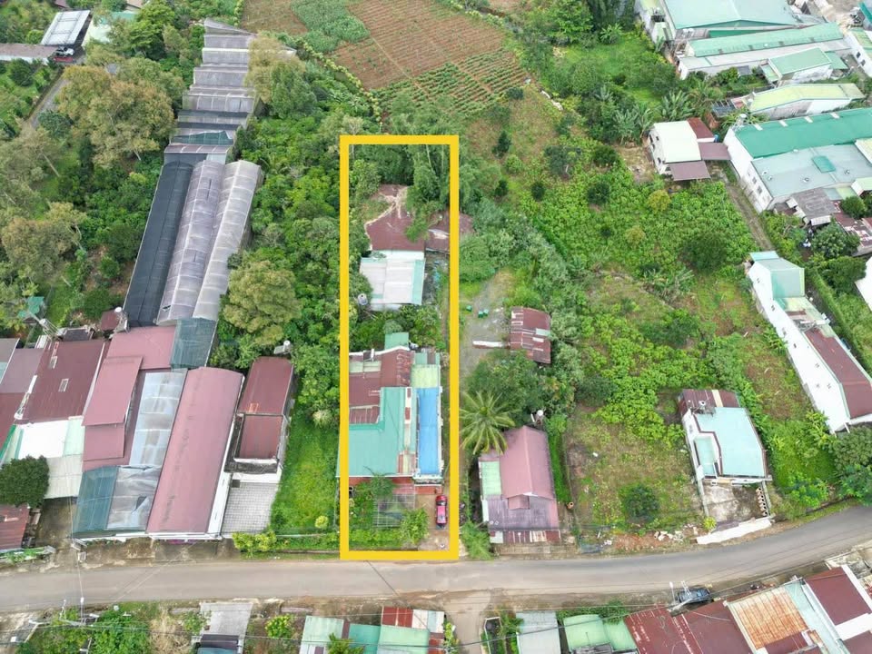 Farm Bảo Lộc 1952m² - Nghỉ dưỡng lý tưởng view núi!