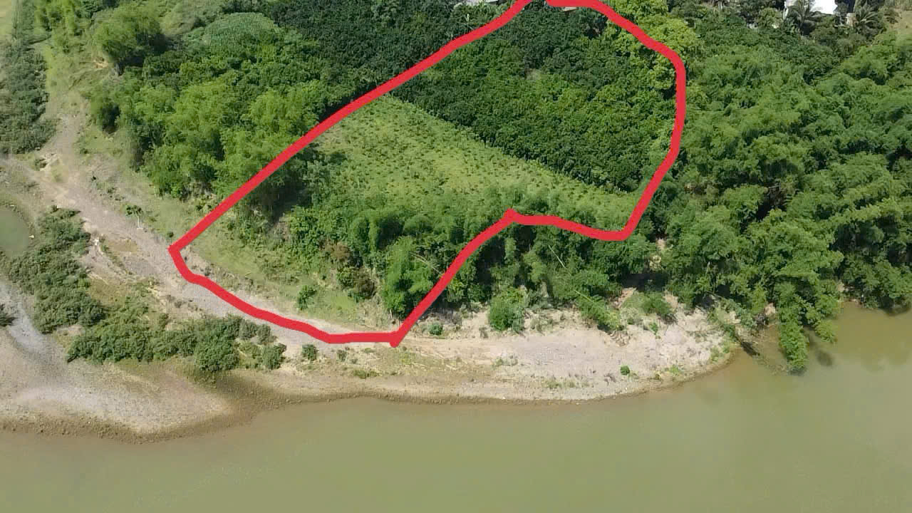 Đất nền QL21A Phù Lưu 4.600m² 9 tỷ - Sổ đỏ chính chủ