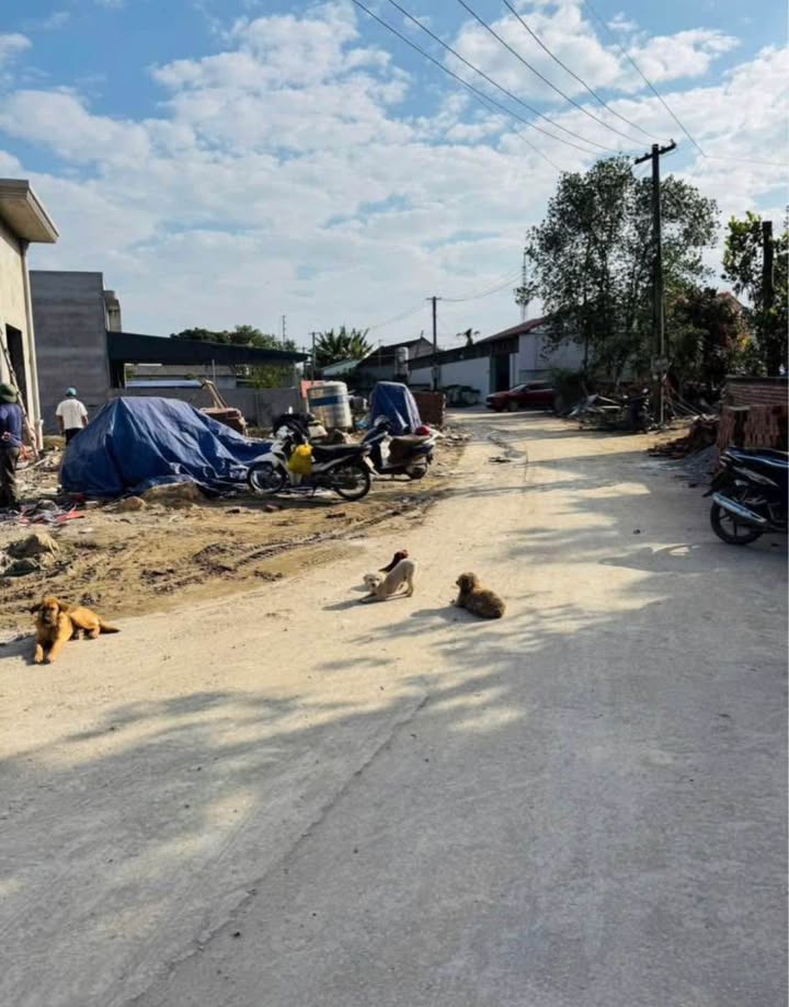 Đất nền Ka Long, Móng Cái 92.4m² - Sổ đỏ chính chủ, sang tên ngay!