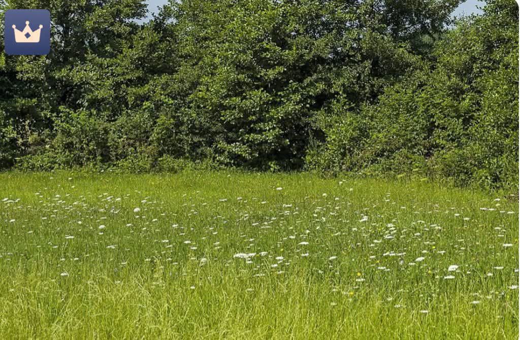 Đất trống 10.000m² Quế Võ 2 Bắc Ninh - Đường container lớn!