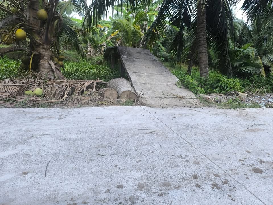 Bán Đất Vườn Bến Tre 3.600m² Giá 350 Triệu - Kinh Mát, Nước Ngọt