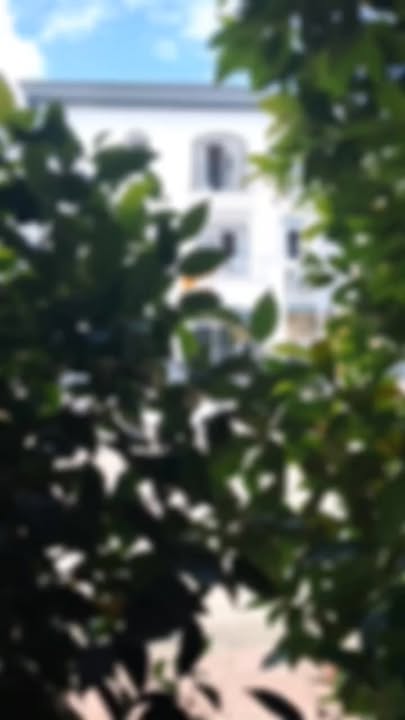 Bán Gấp Liền Kề 100m² Dự Án Terrace Lào Cai - Sổ Đỏ Sẵn Sàng