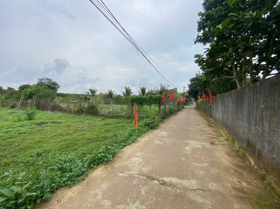 Đất Vườn Hòa Phú Đà Nẵng 1000m² - Giá Đầu Tư 1.4 Tỷ