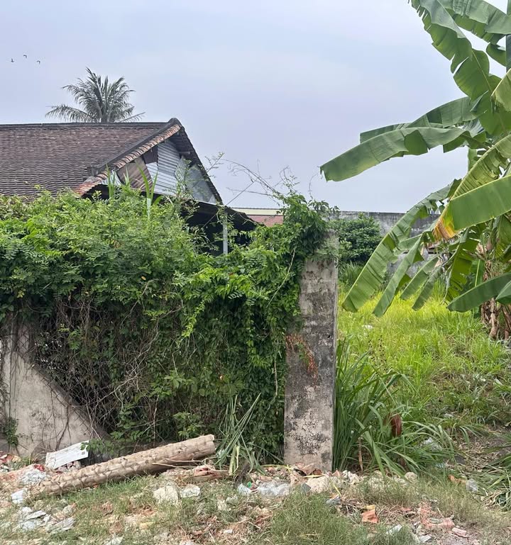 Đất nền Hòa Thành 252m² - Sổ hồng riêng, giá hấp dẫn!