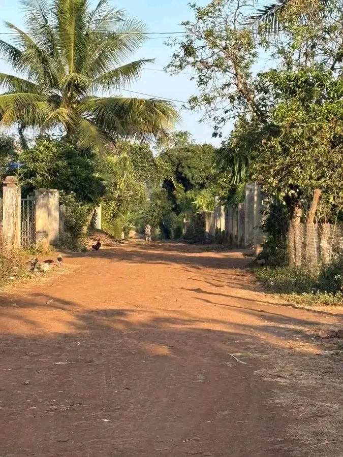 Đất nền Ea Phê, Đắk Lắk - 250m² Sổ đỏ thổ cư, Giá chỉ 399 triệu