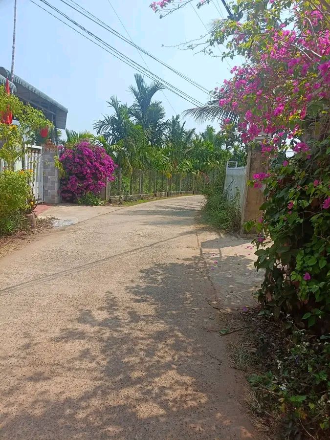 Đất nền 144m² Trục chính Phước Lộc, Đắk Lắk - Giá 650 Triệu