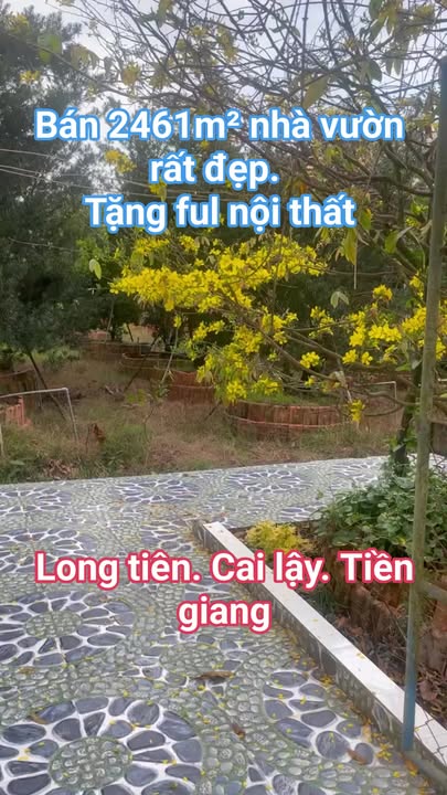 Bán Gấp Nhà Vườn 2461m² Long Tiên, Tiền Giang - Giá 2.6 Tỷ