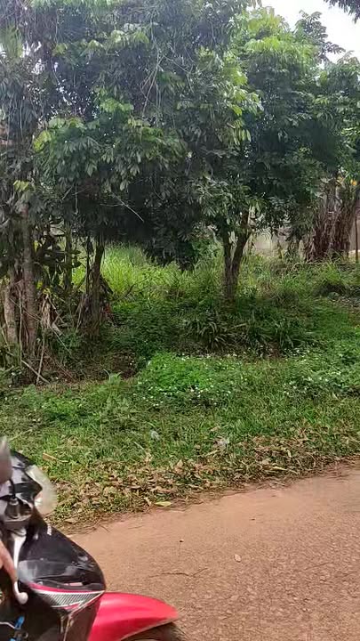 Đất nền 360m² mặt tiền 6m, Đông Lai, Tân Lạc, Hòa Bình - Giá tốt đầu tư