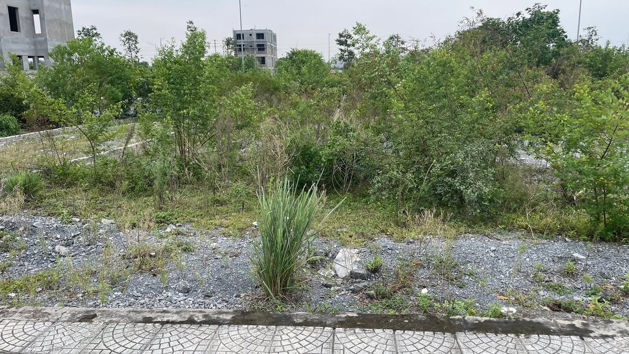 Đất Vàng Hano Park 2 (Kim Bảng, Hà Nam) 100m² Sổ Hồng - Giá Đầu Tư 3.2 Tỷ