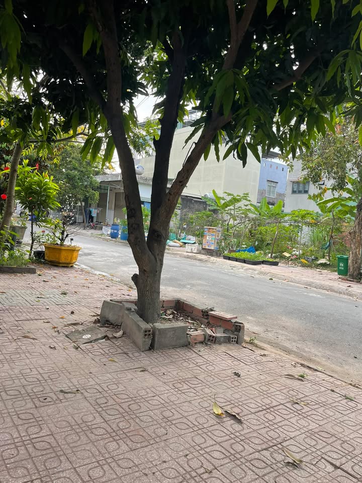 Đất nền KDC Tín Nghĩa Biên Hòa 97m² - Hạ tầng hoàn thiện!